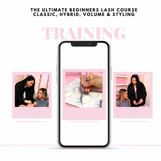 The 2 day ultimate beginners  lash course  classic,hybrid,volume & styling
